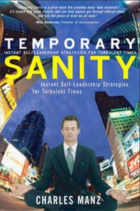 Enlarge image Cover: Temporary Sanity - Financial TImes Prentice Hall