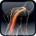 Cover: Oxford Textbook of Musculoskeletal Medicine - Oxford University Press, USA
