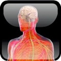 Cover: Oxford Textbook of Neurorehabilitation - Oxford University Press, USA