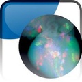Cover: Esc Textbook of Cardiovascular Development - Oxford University Press, USA