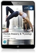 Cover: Human Anatomy & Physiology, Global Edition -- Mastering A&P with Pearson eText - Pearson Education Limited