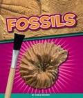 Cover: Fossils - Child's World