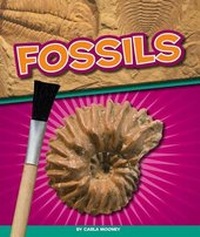 Enlarge image Cover: Fossils - Child's World