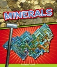 Enlarge image Cover: Minerals - Child's World