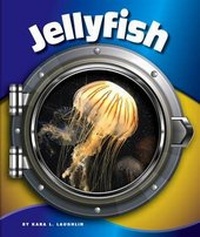 Enlarge image Cover: Jellyfish - Child's World