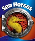 Cover: Sea Horses - Child's World