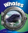 Cover: Whales - Child's World