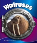 Cover: Walruses - Child's World