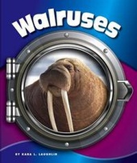 Enlarge image Cover: Walruses - Child's World