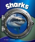 Cover: Sharks - Child's World