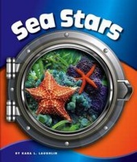 Enlarge image Cover: Sea Stars - Child's World