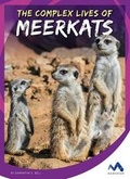 Cover: The Complex Lives of Meerkats - Momentum
