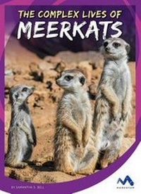 Enlarge image Cover: The Complex Lives of Meerkats - Momentum