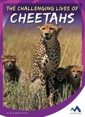 Cover: The Challenging Lives of Cheetahs - Momentum