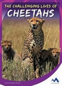 Enlarge image Cover: The Challenging Lives of Cheetahs - Momentum