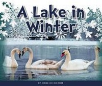 Enlarge image Cover: A Lake in Winter - Child's World