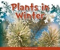 Cover: Plants in Winter - Child's World