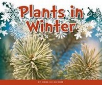 Enlarge image Cover: Plants in Winter - Child's World