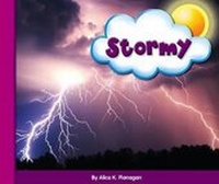 Enlarge image Cover: Stormy - Child's World