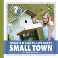 Cover: What's It Like to Live Here? Small Town - Cherry Lake Publishing