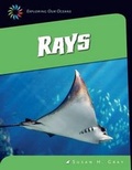 Cover: Rays - Cherry Lake Publishing