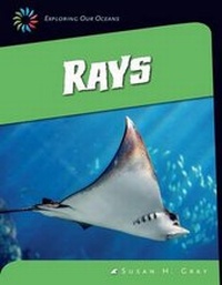 Enlarge image Cover: Rays - Cherry Lake Publishing