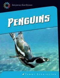 Enlarge image Cover: Penguins - Cherry Lake Publishing