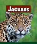 Cover: Jaguars - Child's World