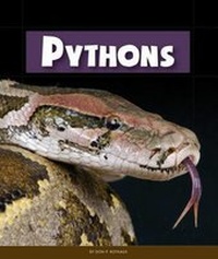 Enlarge image Cover: Pythons - Child's World
