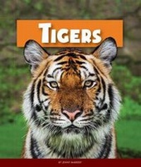 Enlarge image Cover: Tigers - Child's World