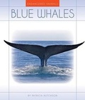 Cover: Blue Whales - Child's World