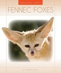 Cover: Fennec Foxes - Child's World