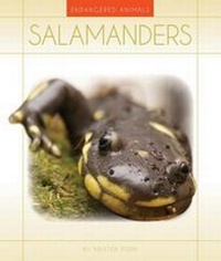 Enlarge image Cover: Salamanders - Child's World