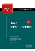 Cover: Droit constitutionnel - Ellipses eBooks