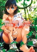 Cover: Bright Sun - Dark Shadows - Band 8 - Kaz&eacute;