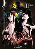 Cover: Bright Sun - Dark Shadows - Band 11 - Kaz&eacute;