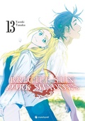 Cover: Bright Sun - Dark Shadows - Band 13 (Finale) - Kaz&eacute;
