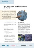 Cover: Mit Kaolin gegen die Kirschessigfliege im Weinbau - Forschungsinstitut f&uuml;r biologischen Landbau FIBL