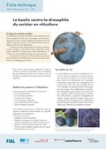 Cover: Le kaolin contre la drosophile du cerisier en viticulture - Forschungsinstitut f&uuml;r biologischen Landbau FIBL