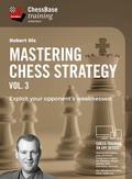 Cover: Mastering Chess Strategy Vol. 3 - ChessBase GmbH