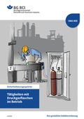 Cover: SKG 005 T&auml;tigkeiten mit Druckgasflaschen im Betrieb - Jedermann-Verlag GmbH