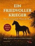Cover: Ein friedvoller Krieger - Pepper Verlag