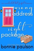 Cover: Wrong Address, Right Package (An Accidental but Perfect Romance, #3) - Captiva Publishing