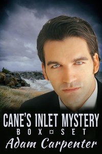 Enlarge image Cover: Cane's Inlet Mystery Box Set - JMS Books LLC