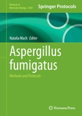 Cover: Aspergillus fumigatus - Humana
