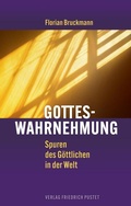 Cover: Gotteswahrnehmung - Pustet, F