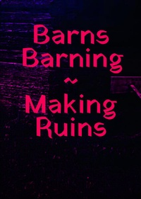 Enlarge image Cover: Barns Barning - Edizioni Periferia