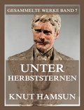 Cover: Unter Herbststernen - Jazzybee Verlag