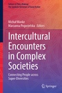 Cover: Intercultural Encounters in Complex Societies - Springer