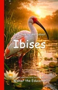 Cover: It's Time to Learn about Ibises - Silent King Books